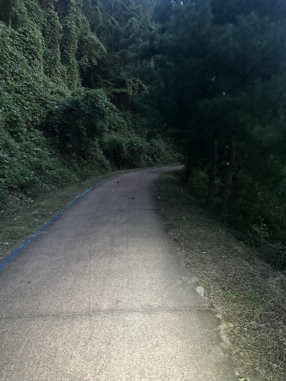 The second climb, over a heavily forested hill on an unused old road, in the dark on Oct. 1. [JIM BULLEY]