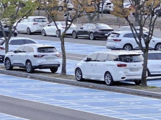 The photo shows cars parked at Seoul Grand Park in Gwacheon, Gyeonggi. [SCREEN CAPTURE] 