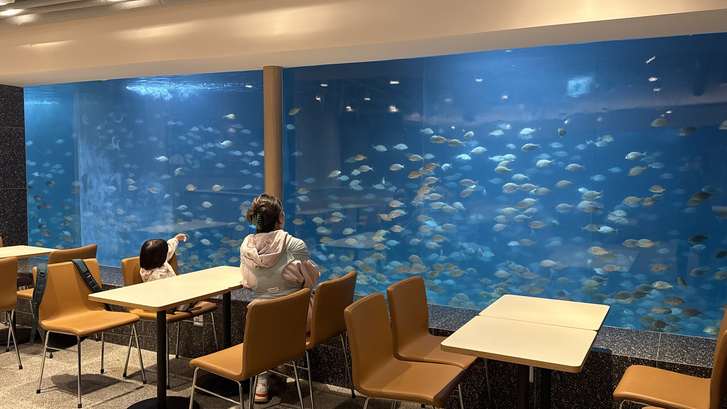 A family watches fish swim past at Twosome Place Gyeongju Gampo Port Branch. [WOO JI-WON]