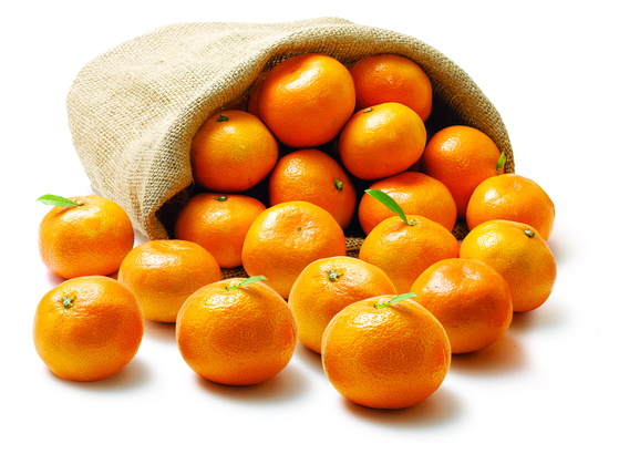 Tangerines [JOONGANG ILBO]