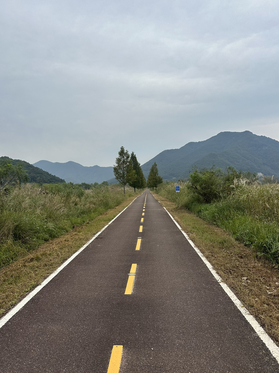 The final 90 kilometers of the Nakdonggang Bicyle Path are almost entirely flat, allowing for an easy final day. This stretch, photographed on Oct. 2, runs through Changnyeong, South Gyeongsang. [JIM BULLEY]