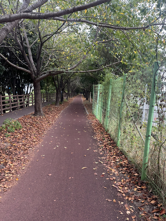 The final stretch of the Nakdonggang Bicycle Path involves riding along a raised embankment between two busy roads in central Busan, pictured here on Oct. 2. [JIM BULLEY]