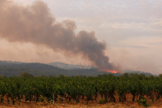 Smoke rises during a wildfire at sunrise near Saint-Laurent-de-la-Cabrerisse, near Narbonne, southern France on Aug. 6. [REUTERS/YONHAP]