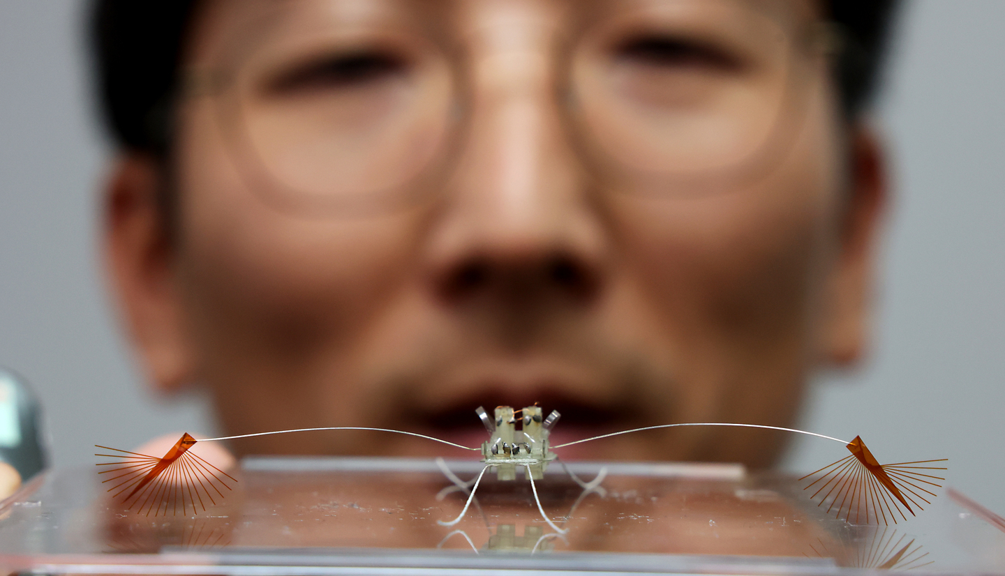 Koh Je-sung, professor of mechanical engineering at Ajou University, demonstrates an ultra-small robot modeled after the water strider species Ragovelia, which can move freely on water surfaces, at the government complex in Sejong on Aug. 21. [NEWS1]