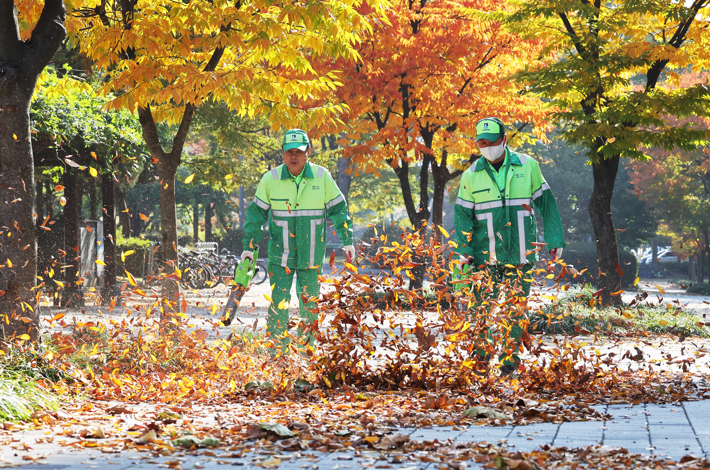 City workers from Suwon use electric leaf blowers to clear fallen leaves along a sidewalk near the Suwon Outdoor Music Theater in Paldal District in Suwon, Gyeonggi, on Nov. 5. [YONHAP]