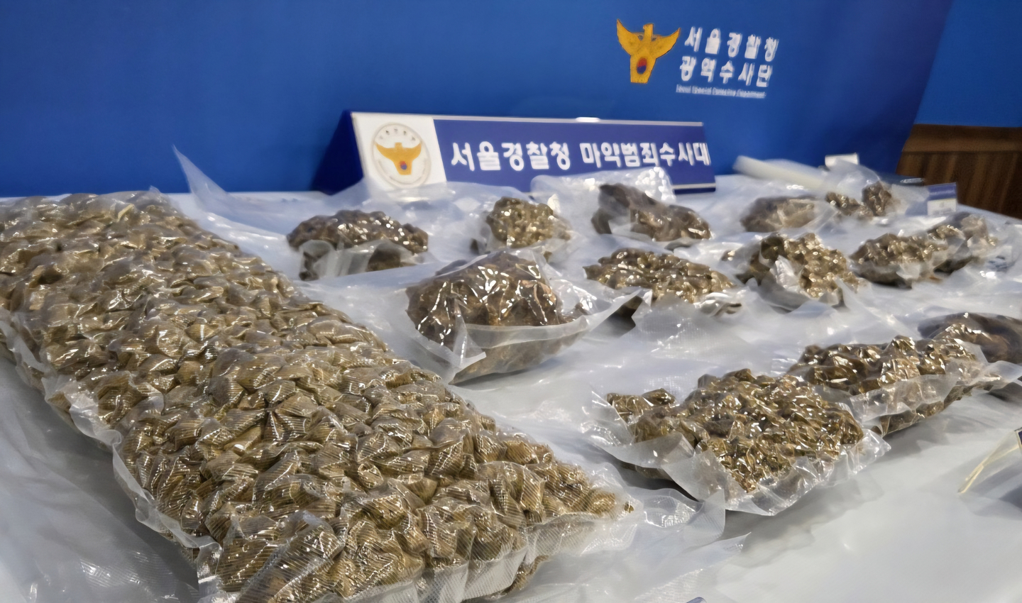 The Seoul Metropolitan Police Precinct ’s narcotics unit said on Nov. 5 that a Navy corporal and two accomplices have been booked on charges of violating the Narcotics Control Act for smuggling and distributing marijuana. The suspects allegedly brought 10.2 kilograms of marijuana from Thailand to Incheon International Airport between April and May this year. The photo shows marijuana confiscated by police. [SEOUL METROPOLITAN POLICE]