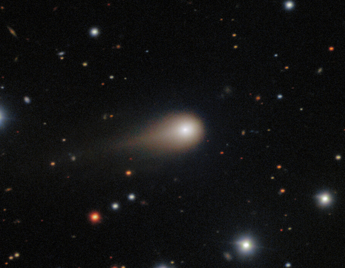 Color photo of 3I/ATLAS by the Gemini South Observatory on August 27, 2025, showing its fuzzy coma and tail. [WIKIPEDIA]