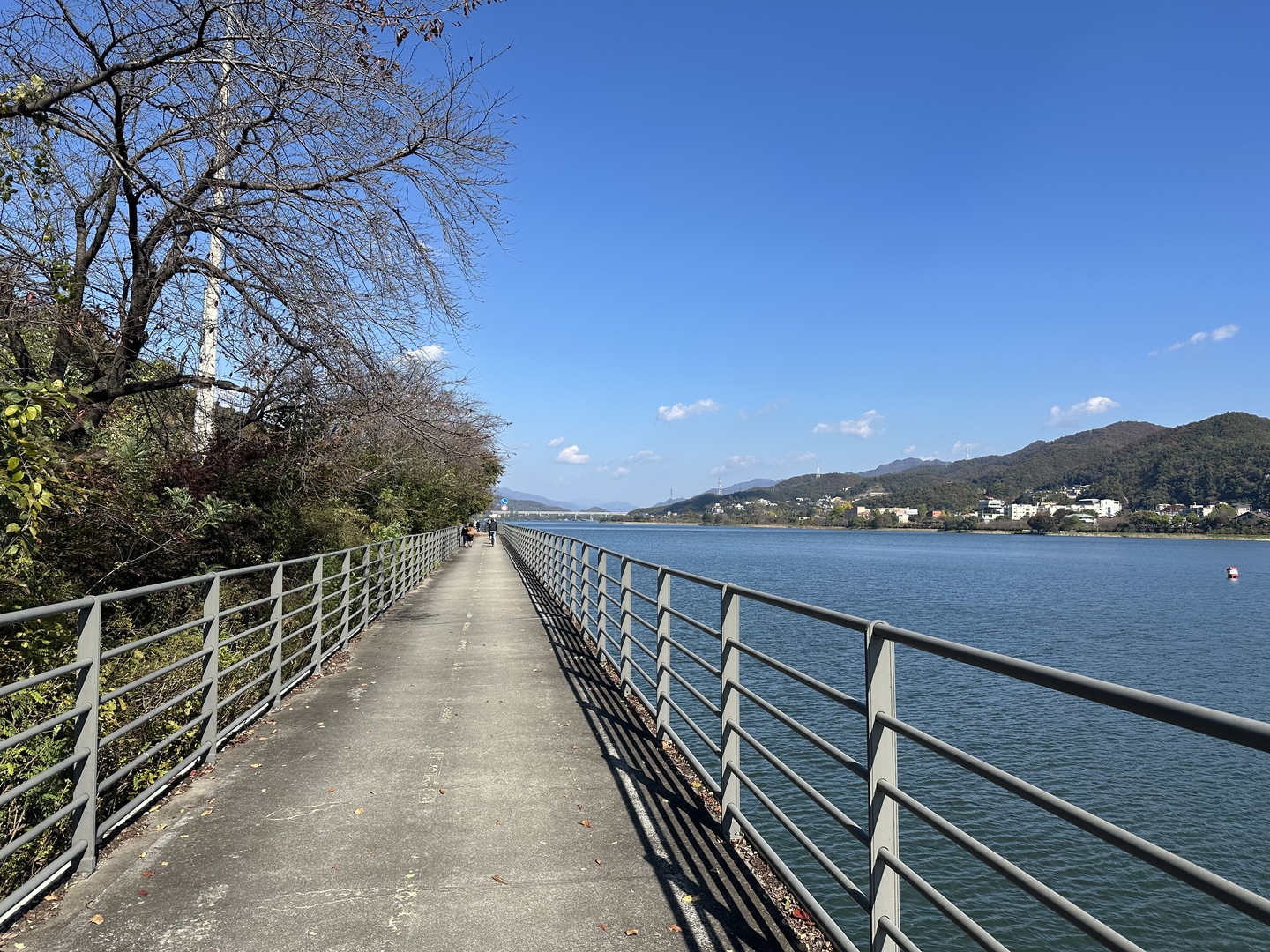 Riding the Bukhangang Bicycle Path in Namyangju, Gyeonggi, on Nov. 1.  [JIM BULLEY]