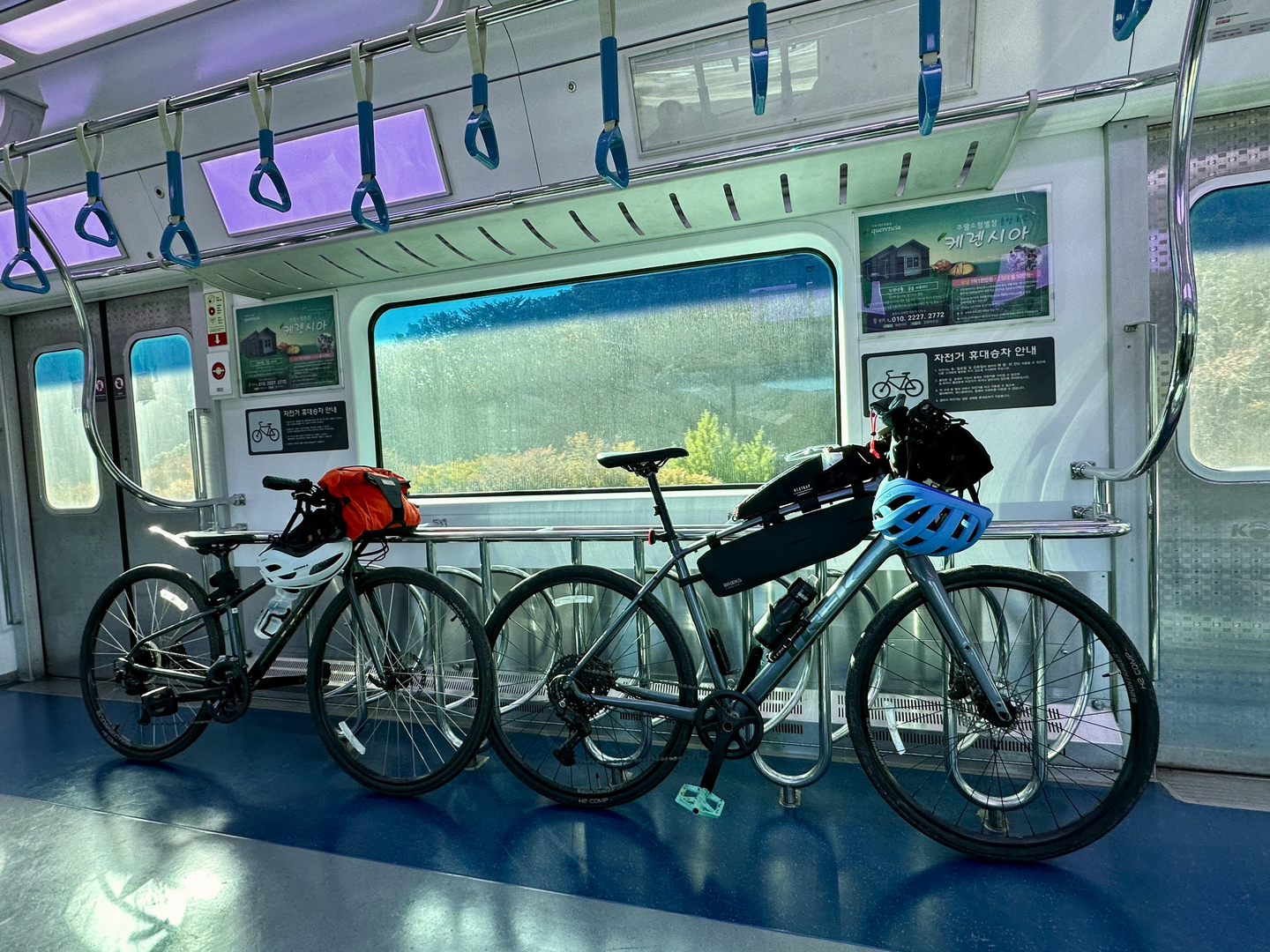 Riding the Gyoungchun Line in Gangwon on Nov. 2.  [JIM BULLEY]