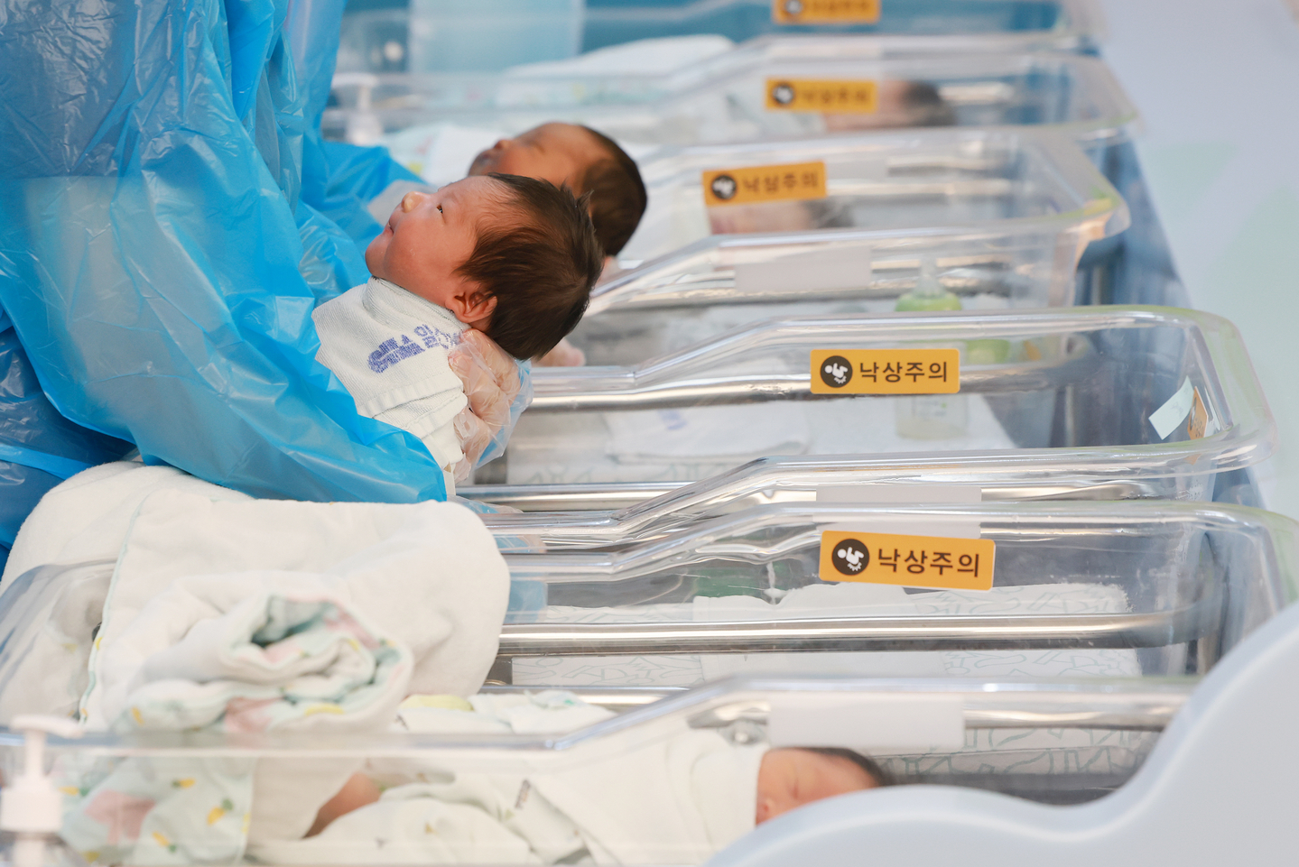 This undated file photo shows newborns at a hospital. [YONHAP] 
