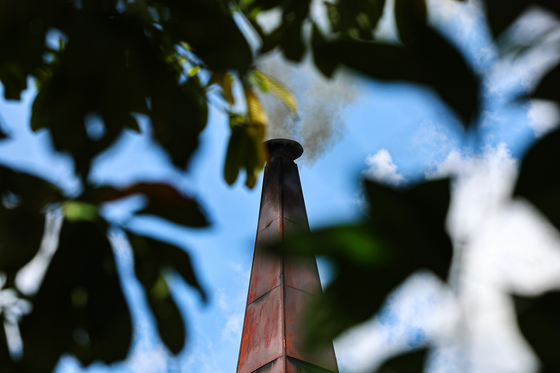 Korean university student Park is cremated at the Tuek Thla Pagoda in Phnom Penh on Oct. 20. [NEWS1]