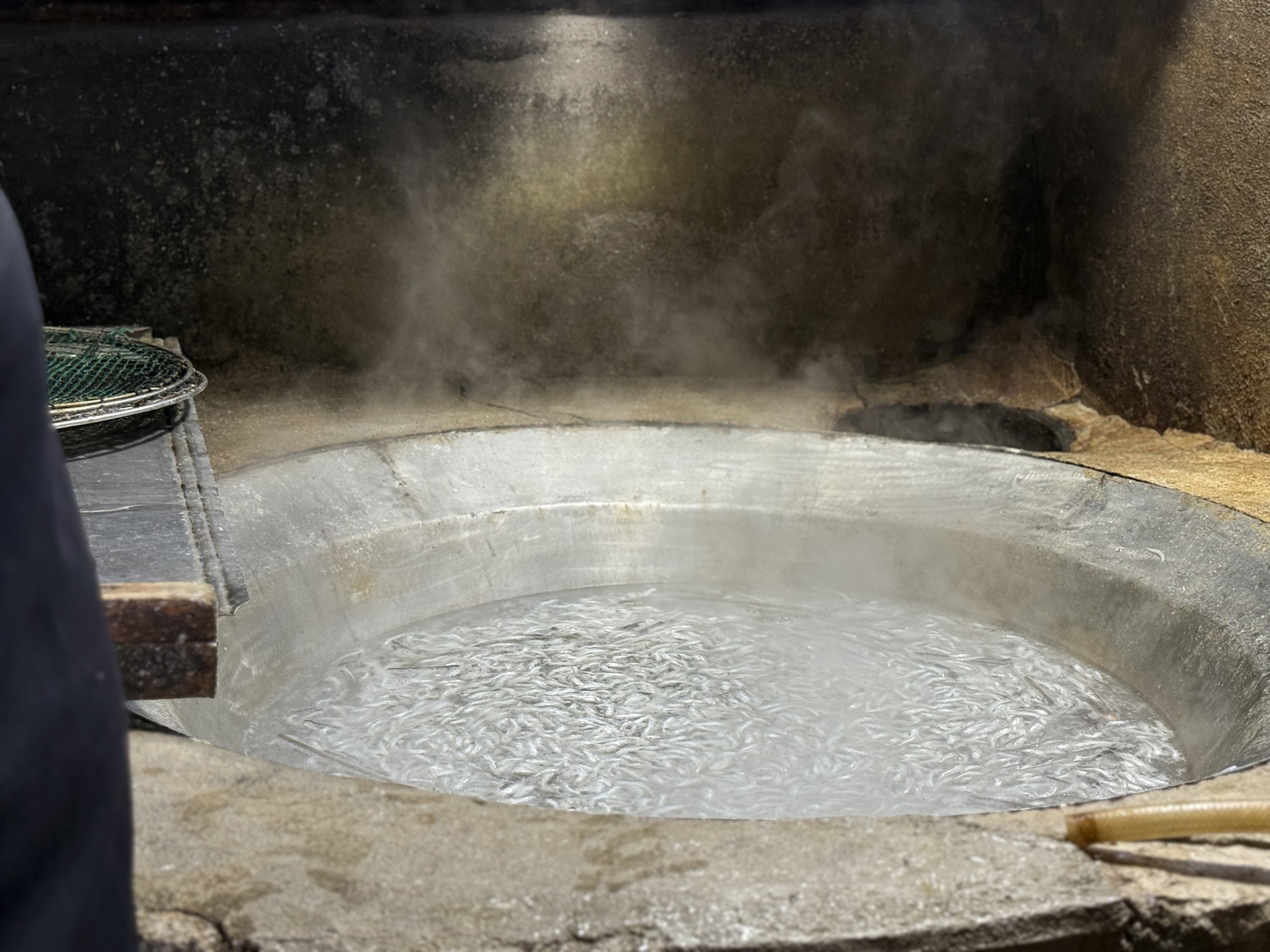 Freshly caught anchovies are boiled in salt water in Namhae, South Gyeongsang, on Nov. 5. [LEE SOO-JUNG]