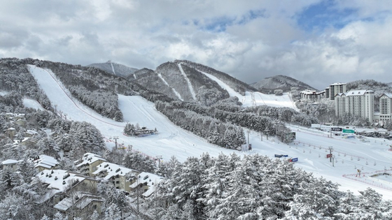 Ski slopes at Mona Yongpyong in Pyeongchang, Gangwon [MONA PYONGPYONG]