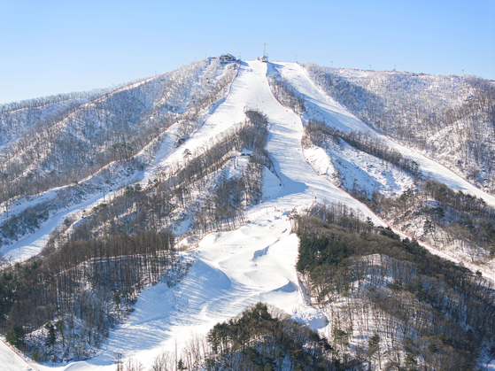 Ski slopes at Phoenix Park in Pyeongchang, Gangwon, are seen in this photo provided by the resort [PHOENIX HOTELS & RESORTS]