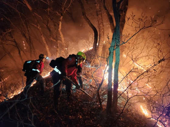 Firefighters conduct a nighttime operation to contain a wildfire in Yangyang County, Gangwon on Nov. 23. [NEWS1] 