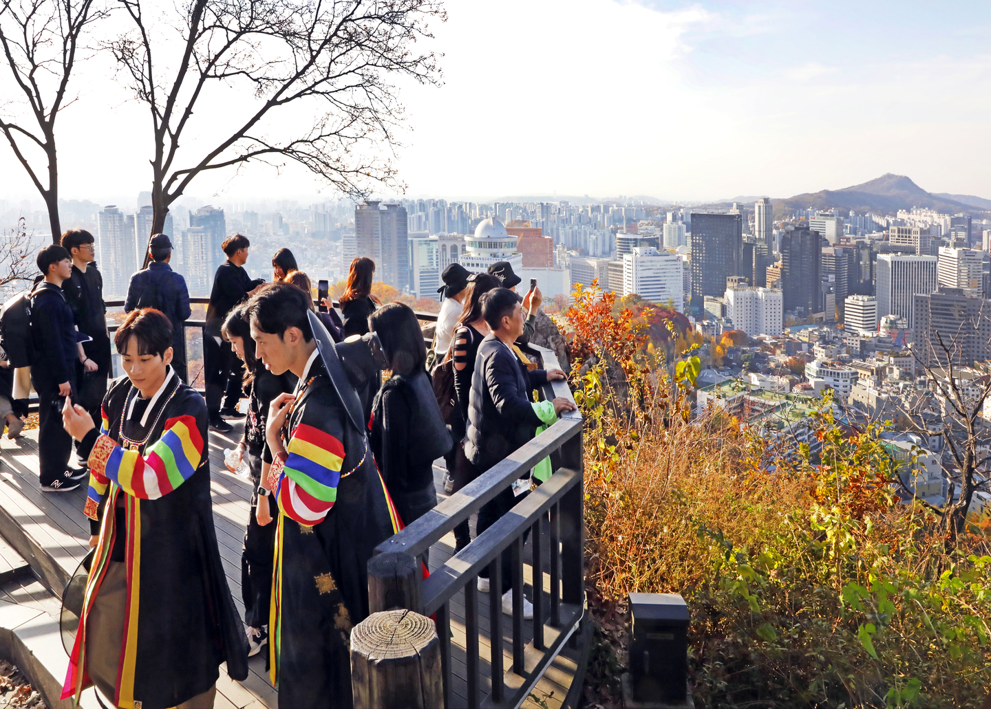 Participants of the 2025 Seoul Eco Hiking Festa take in the city view as they hike along a trail on Mount Namsan in Jung District, central Seoul, on Nov. 15. [PARK SANG-MOON]