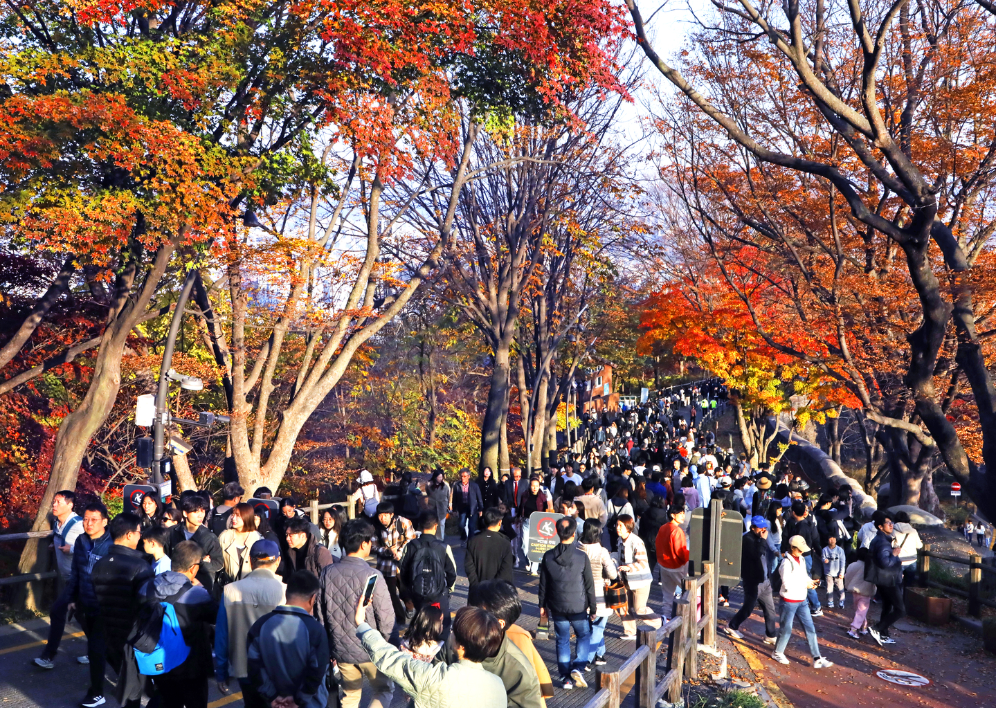 Participants of the 2025 Seoul Eco Hiking Festa hike along a trail on Mount Namsan in Jung District, central Seoul, on Nov. 15. [PARK SANG-MOON]