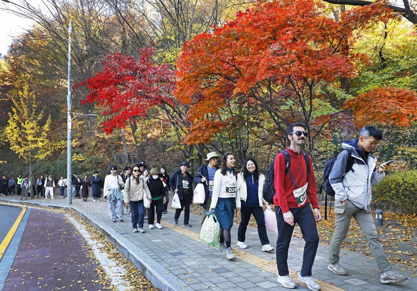 Participants of the 2025 Seoul Eco Hiking Festa hike along the hiking trail on Mount Namsan in Jung District, central Seoul, on Nov. 15. [PARK SANG-MOON]