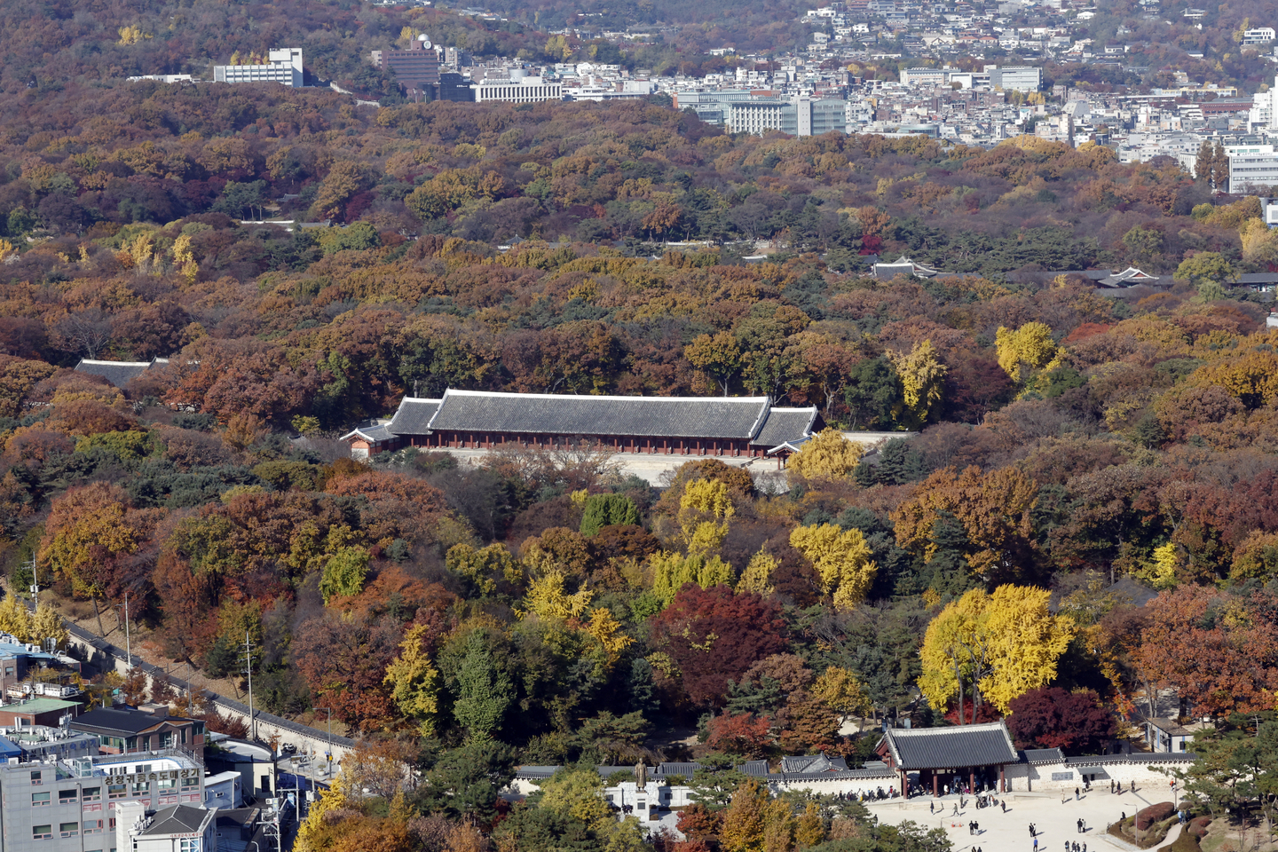 Autumn foliage surrounds Jongmyo Shrine in Jongno District, central Seoul, on Nov. 14. [NEWS1] 