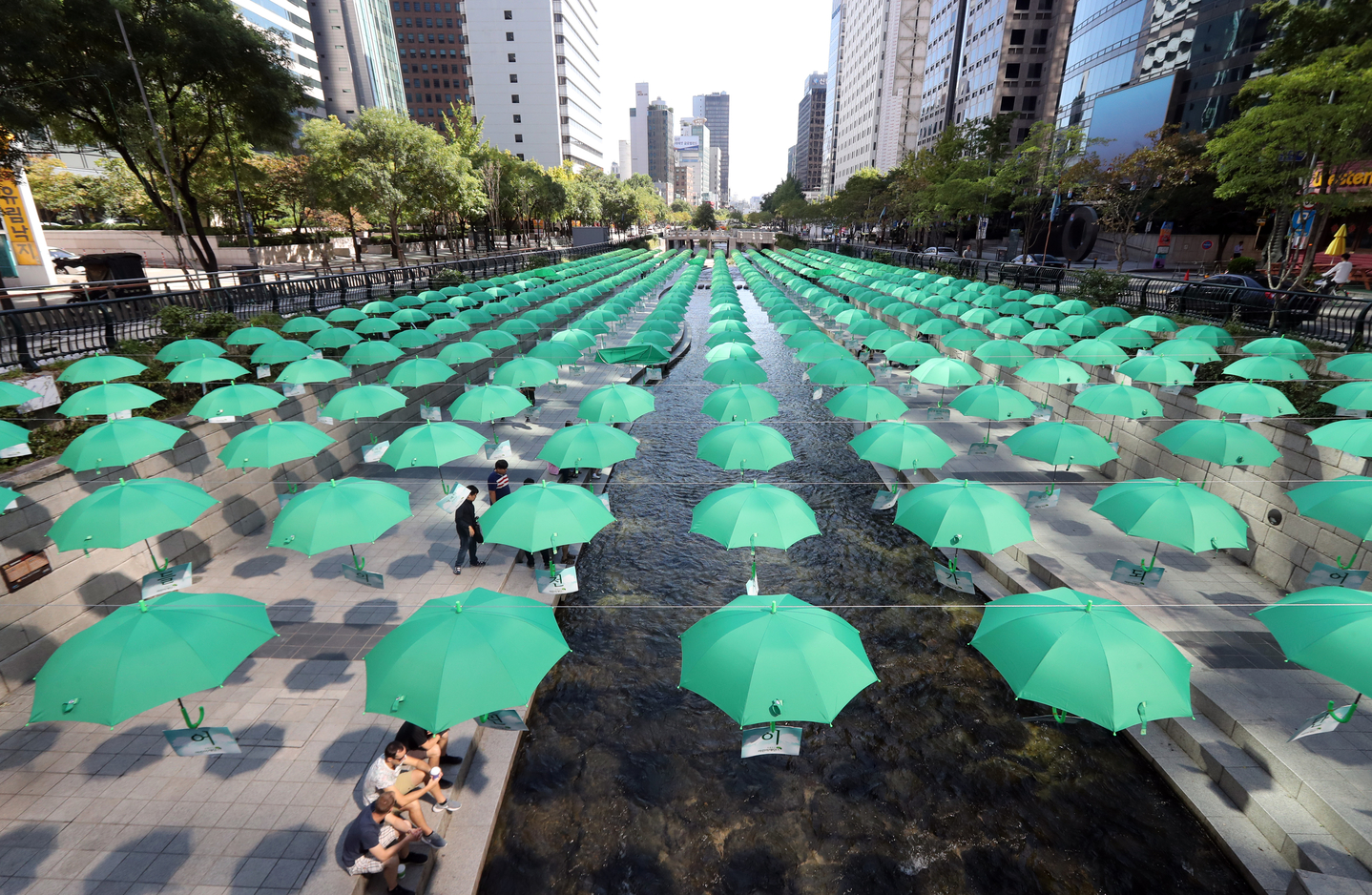 Green umbrellas hang over Cheonggyecheon in Jongno District, Seoul, on Sept. 20, 2017. As part of a campaign to support children facing financial hardship, ChildFund Korea (Green Umbrella) hung the umbrellas bearing donors' names. [YONHAP]
