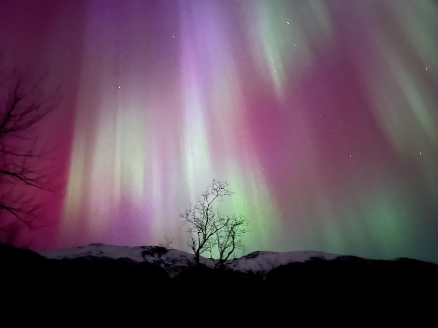The northern lights, seen here from Perseverance Trail near downtown Juneau, Alaska, pulsing above the Juneau Ridge on Nov. 12. [AP/YONHAP]