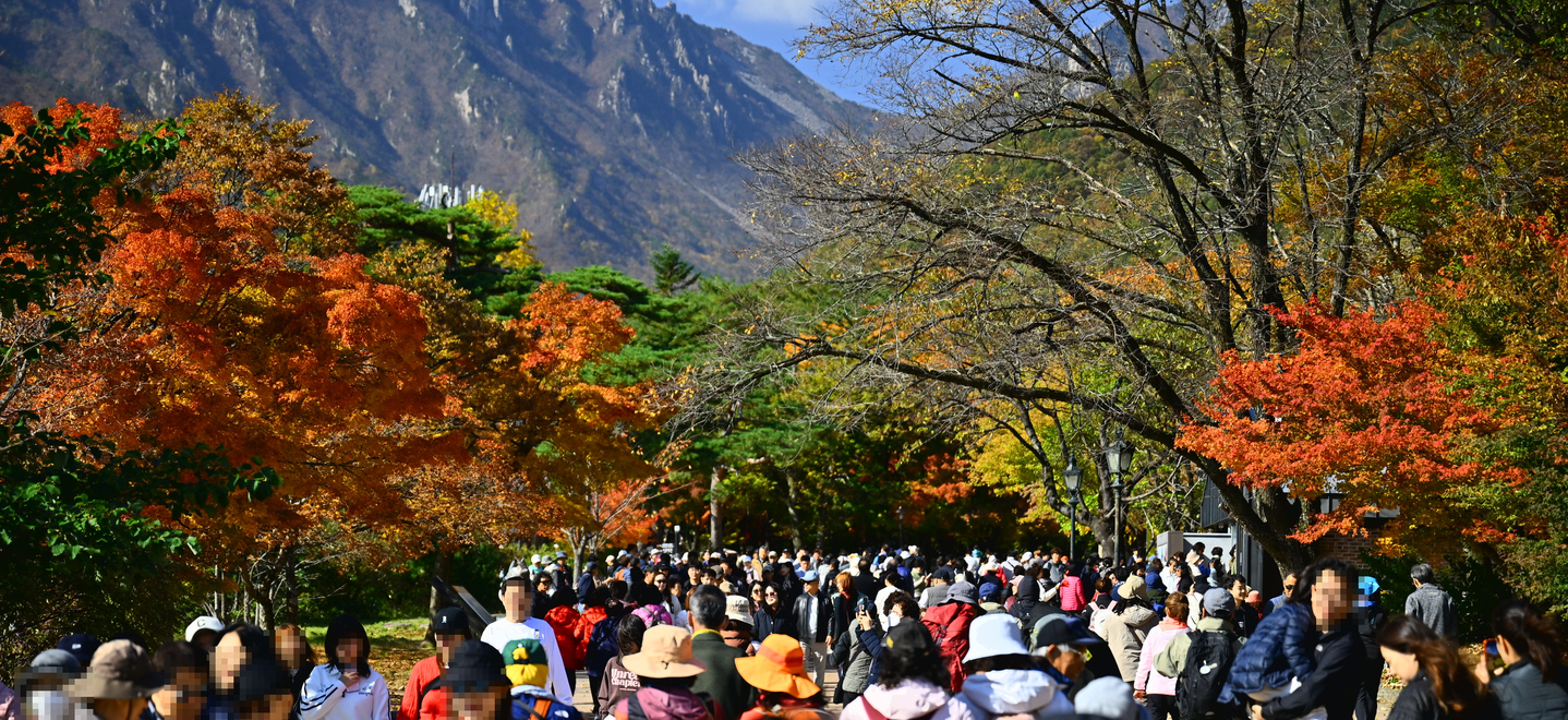 Visitors crowd the entrance to Mount Seorak National Park in Sokcho, Gangwon on Nov. 1. [YONHAP]