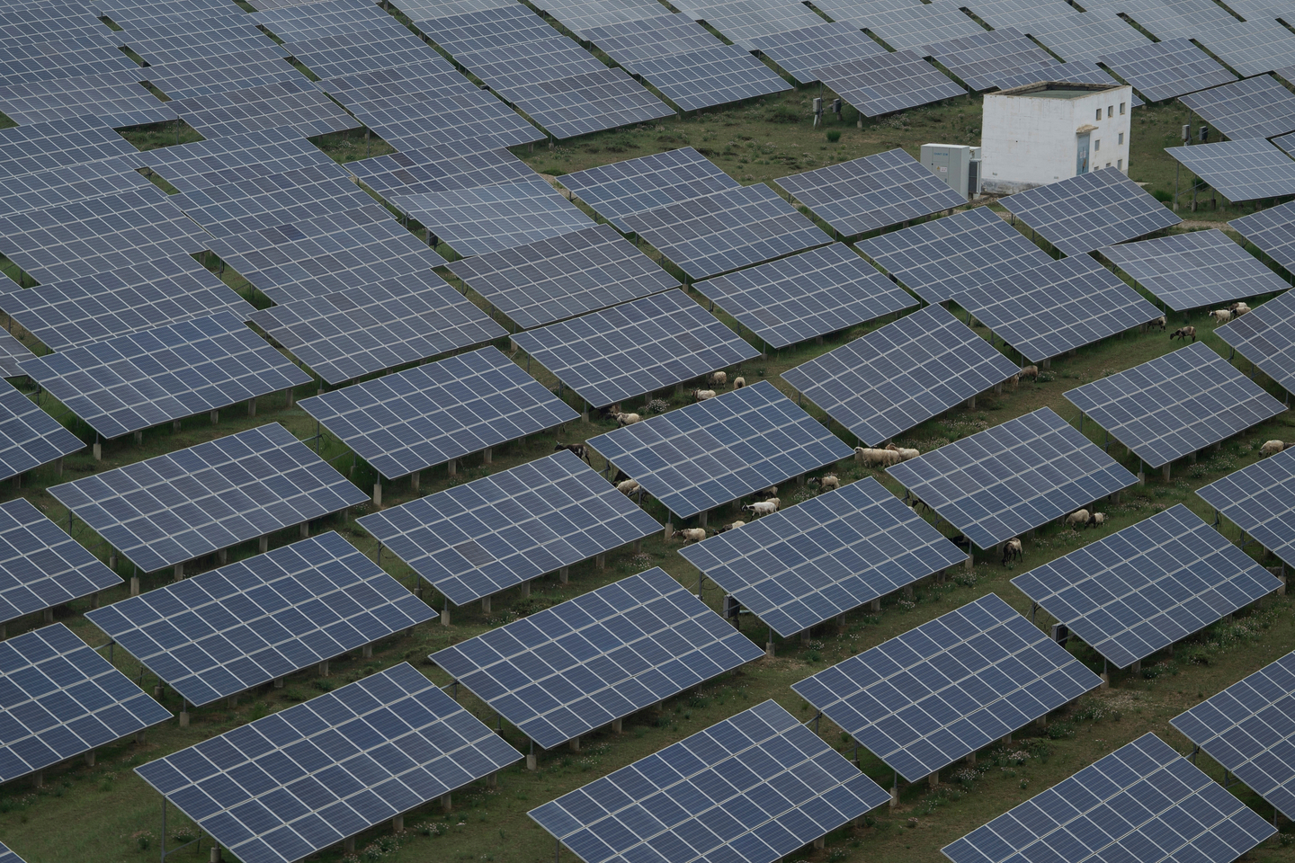 Solar panels in the Hainan prefecture of western China's Qinghai province are seen on July 1. [AP/YONHAP]
