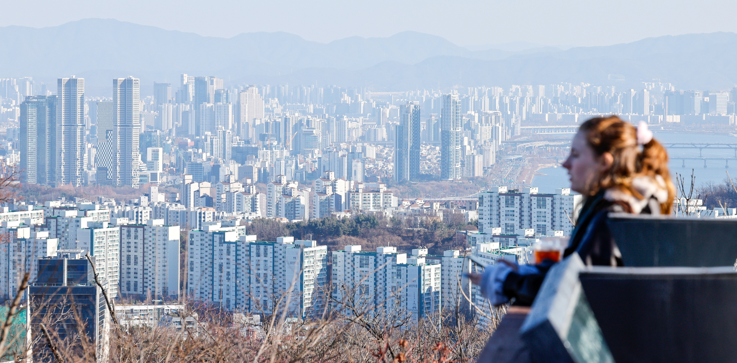 A tourist looks at the landscape of Seoul from central Seoul's Namsan on Dec. 8. [NEWS1]