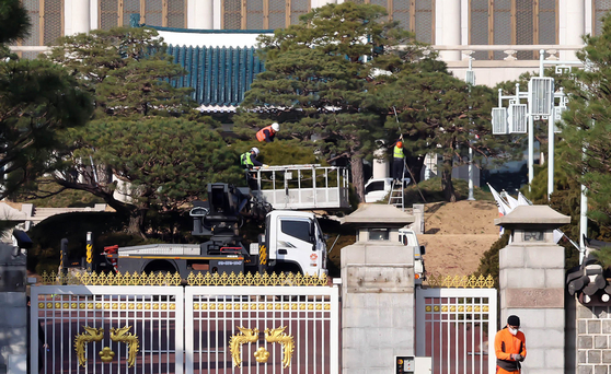 Workers trim trees a garden inside the Blue House on Dec. 9. [YONHAP] 