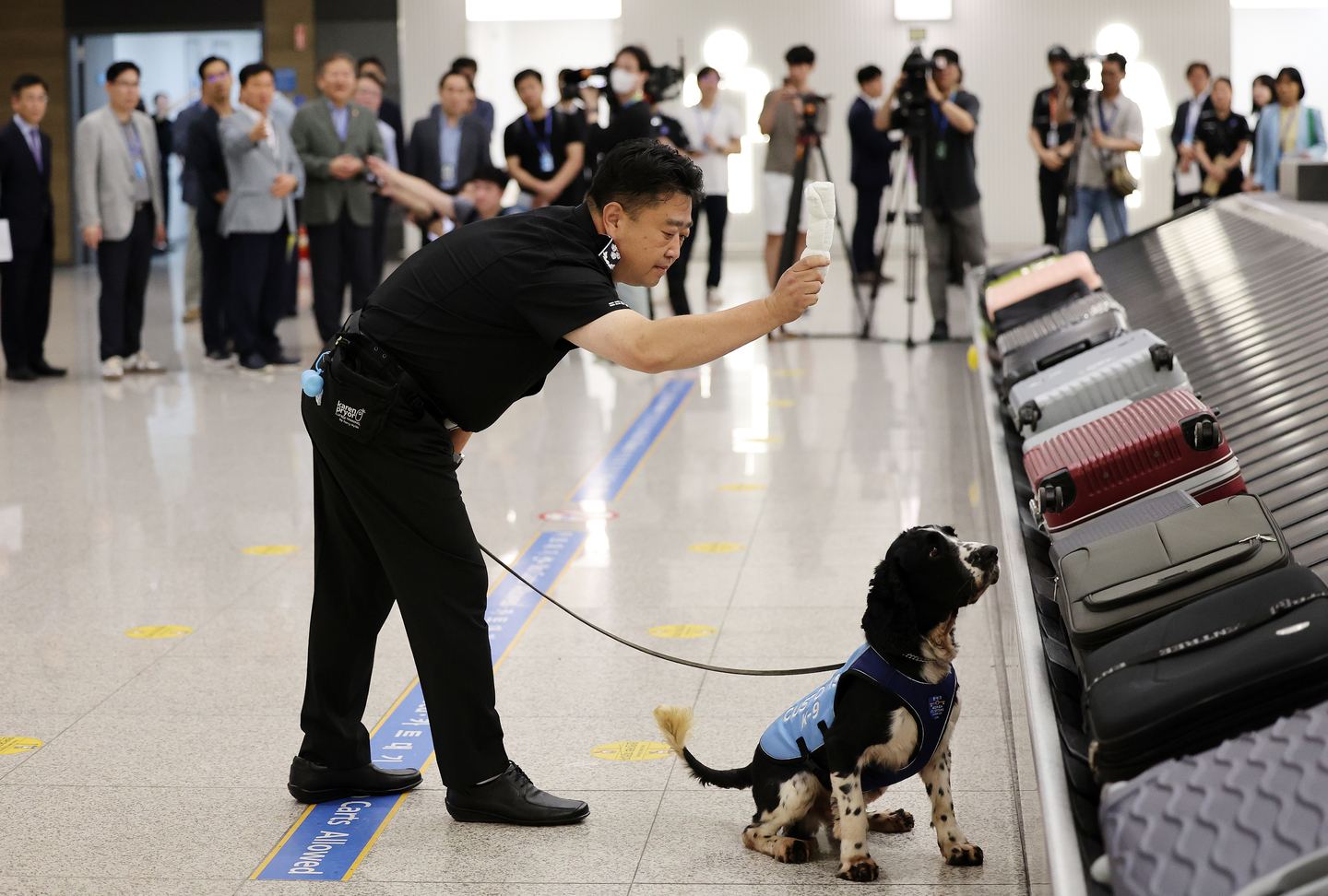 A drug detection dog is seen sniffing for drugs in front of a conveyor belt at Terminal 1 of Incheon International Aiport on Sept. 2, 2023. [NEWS1]