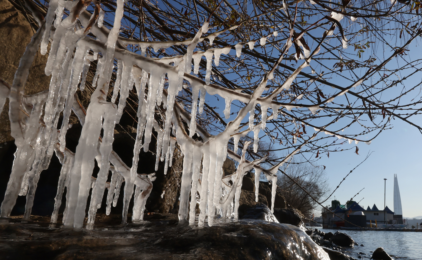 Icicles hang from trees near Han River in Gwangjin District, eastern Seoul, on Dec. 26. [YONHAP]