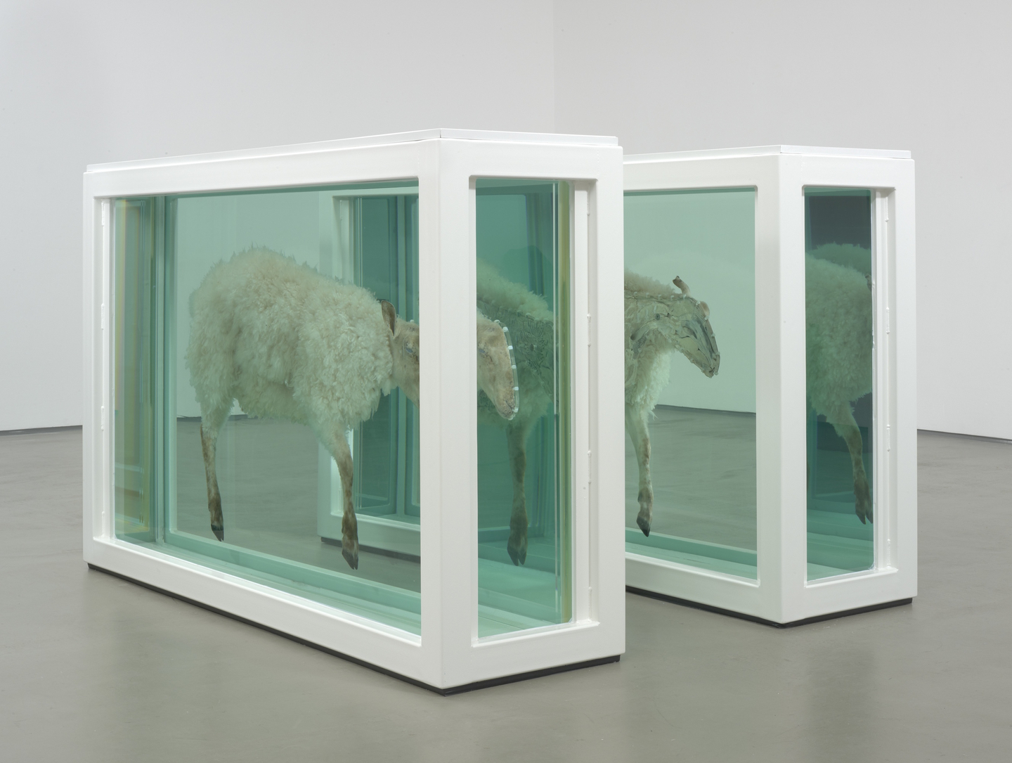 ″Away from the Flock″ (1994) by Damien Hirst [OCEANOGRAPHIC MUSEUM OF MONACO, JOONGANG ILBO]  
