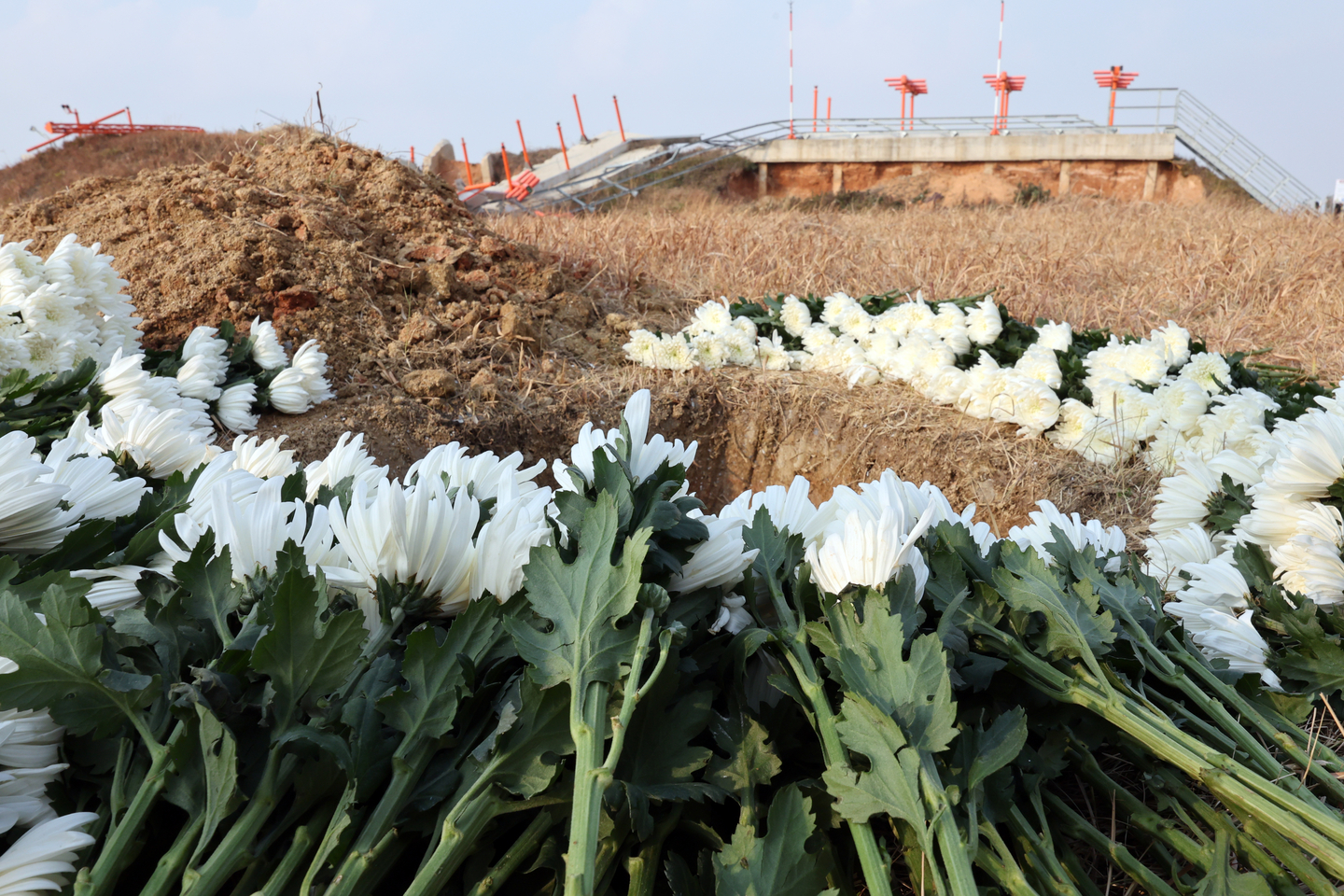 White chrysanthemums are placed at the crash site at Muan International Airport in South Jeolla on Dec. 29, 2025, to mark the first anniversary of the Jeju Air disaster. [YONHAP]