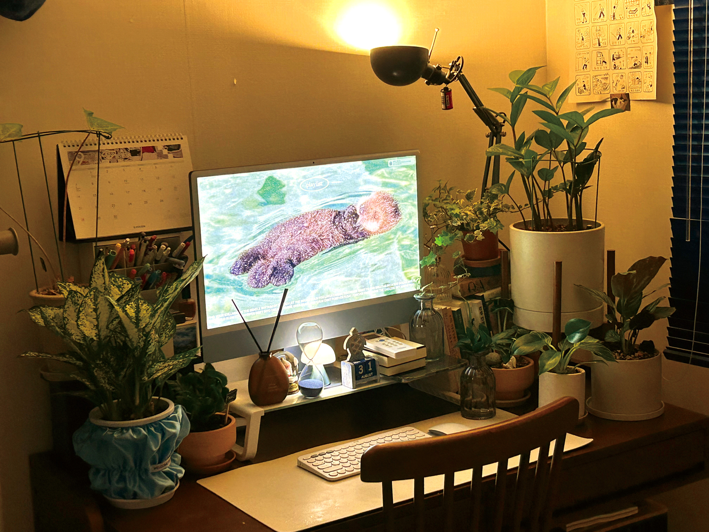 Plants decorate a desk in this photo. Pets and plants have become a common sight among single-person households. [JOONGANG ILBO]