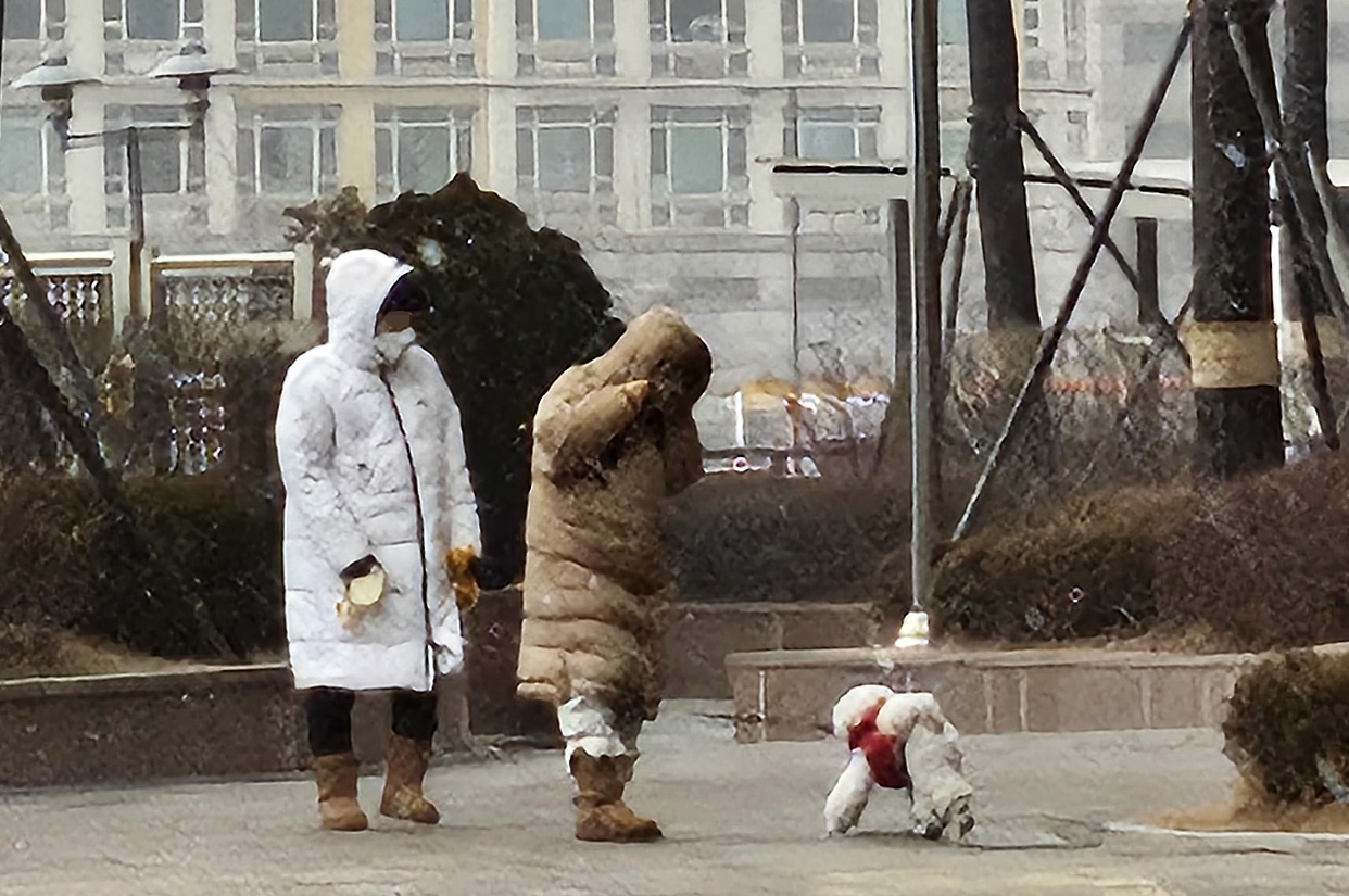 Pet owners are seen walking their dog at an apartment complex in Goyang, Gyeonggi, on Jan. 10, in this photo unrelated to the story. [YONHAP]