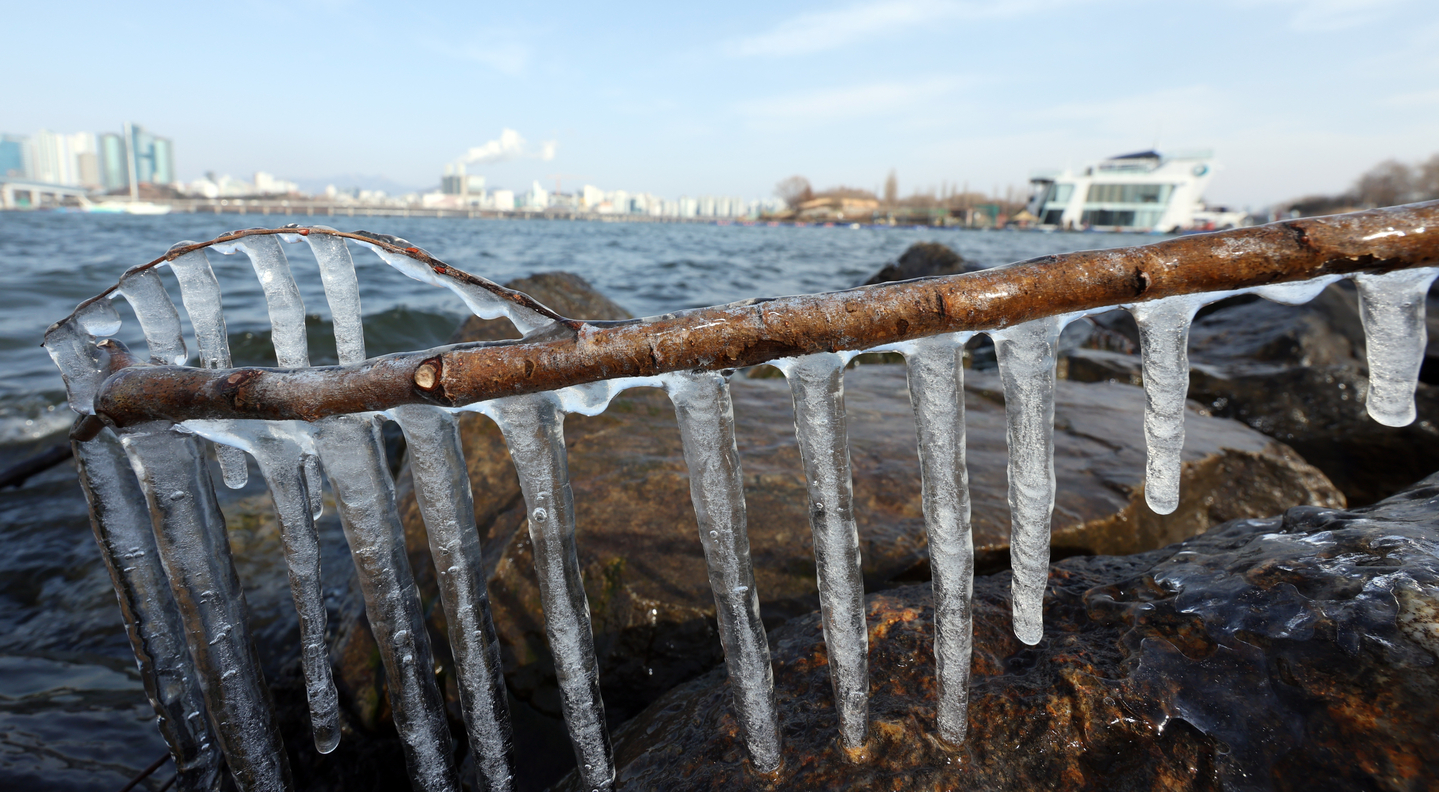 Icicles hang along the banks of the Han River in Yeongdeungpo District, western Seoul, on Jan. 19, as daytime temperatures stayed below freezing. [NEWS1] 