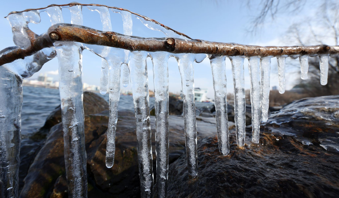 Icicles hang from tree branches along the Han River in Yeongdeungpo District, western Seoul, on Jan. 19. [NEWS1]