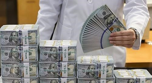 An official checks banknotes at a Hana Bank branch in Seoul, in May 7, 2024. [YONHAP]