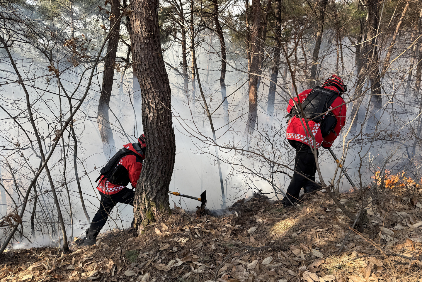 Firefighters are seen during an operation to extinguish a wildfire that broke out in a mountain in Yeongju, North Gyeongsang on Jan. 24. [KOREA FOREST SERVICE]