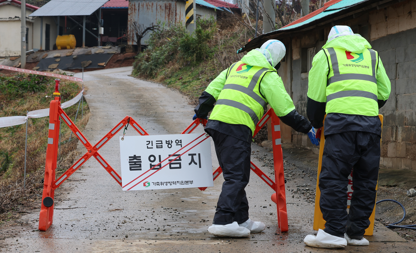 Access is restricted to a pig farm in Danjin, South Chungcheong, after a case of African swine fever (ASF) on Nov. 25, 2025. [NEWS1]