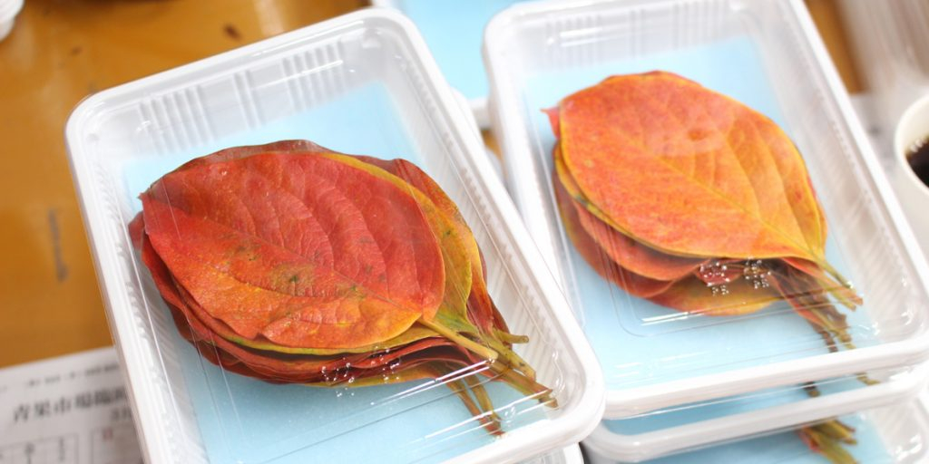 Collected leaves are seen packaged for sales in an undated file photo. [IRODORI]