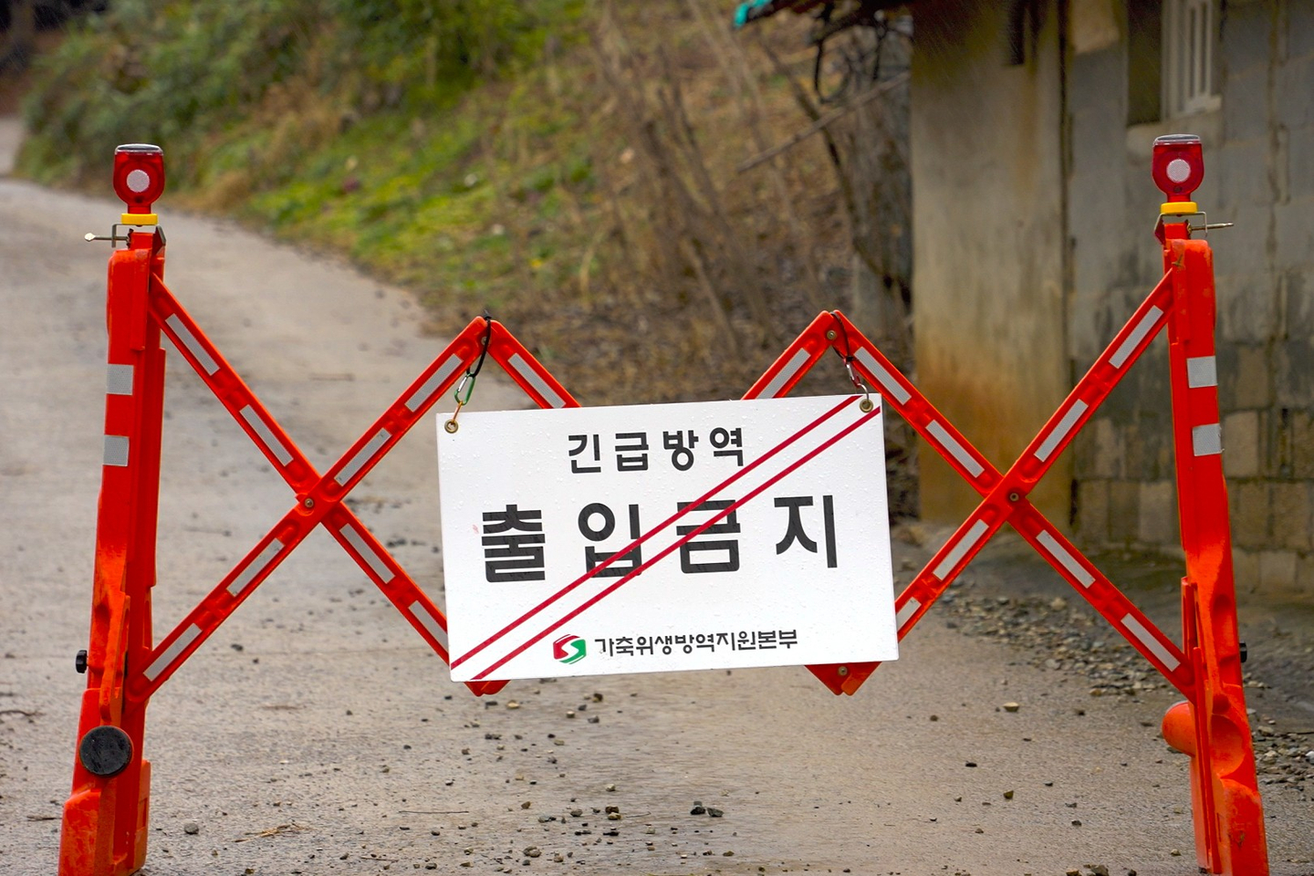 A barricade erected by quarantine authorities is seen at the entrance to a pig farm in Dangjin, South Chungcheong, on Nov. 25, 2025, amid the first outbreak of African swine fever in the province. [YONHAP]
