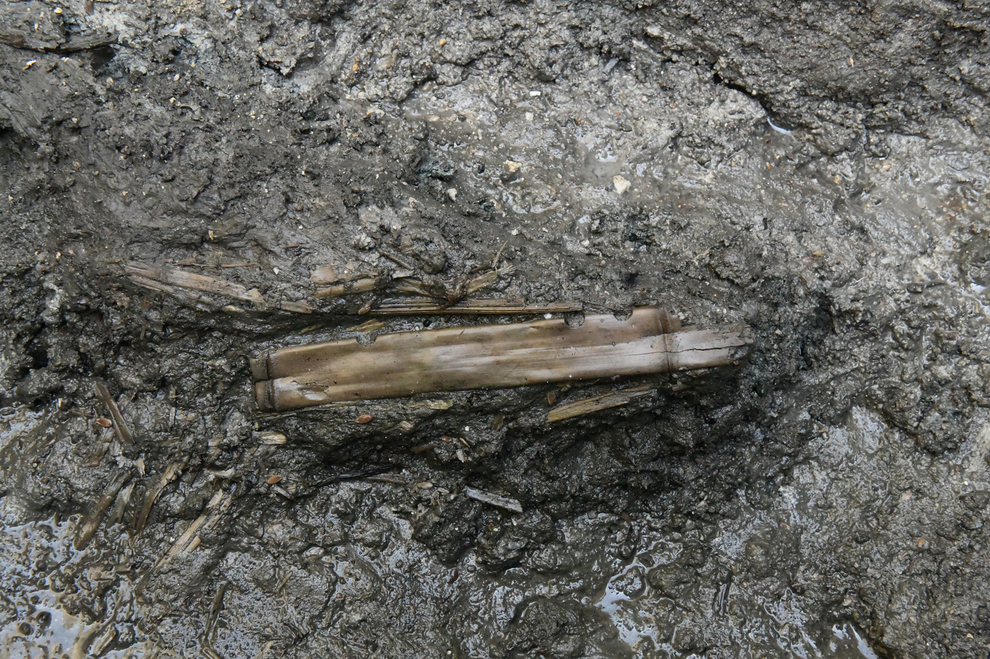 This transverse bamboo wind instrument was recently unearthed at the site of the royal palace of the Baekje Dynasty (18 B.C. to A.D. 660) in the area now known as Buyeo County, South Chungcheong, the Buyeo National Research Institute of Cultural Heritage under the Korea Heritage Service said on Feb. 5. [KOREA HERITAGE SERVICE]