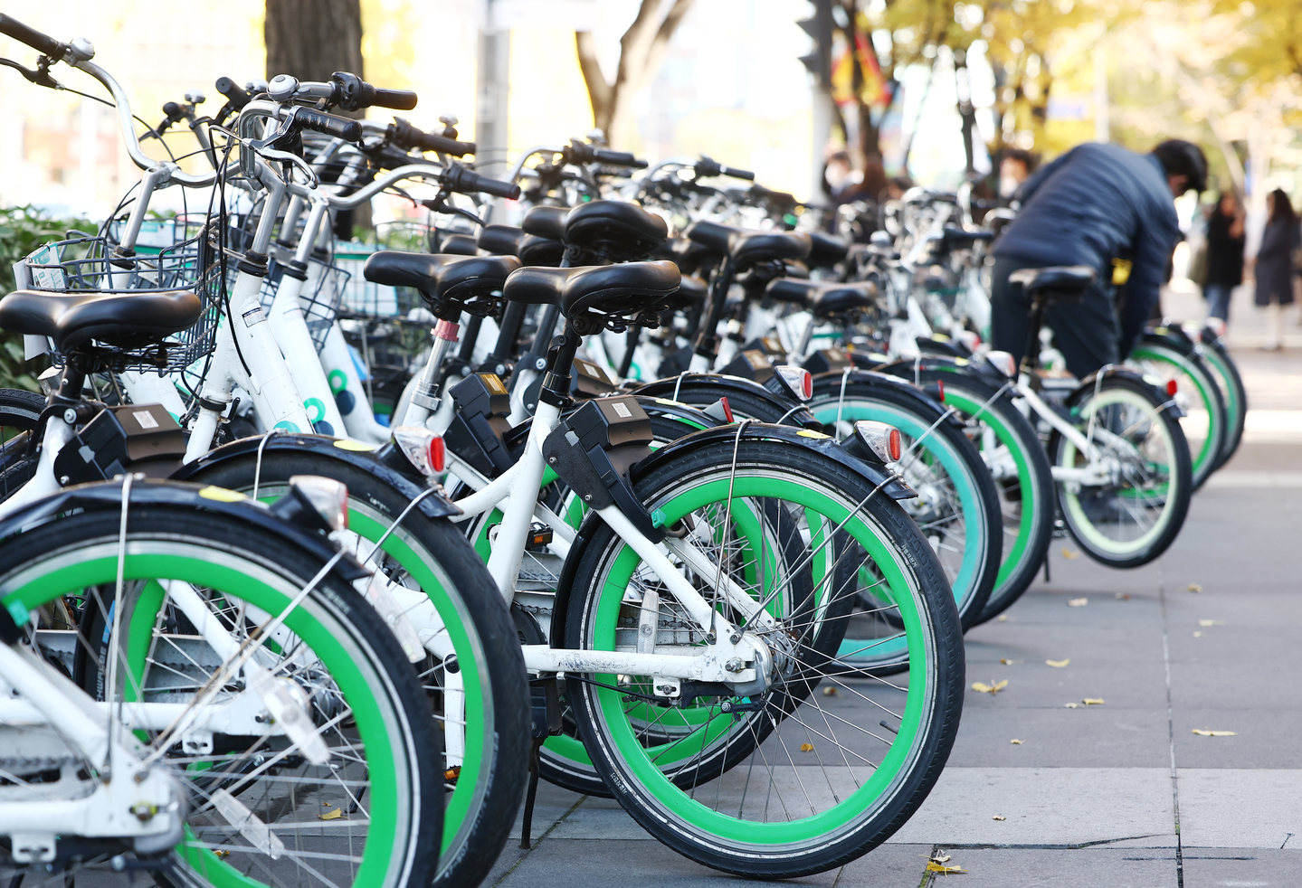 Seoul’s Ttareungi bikes are seen parked in the capital city on Nov. 12, 2025. [NEWS1]