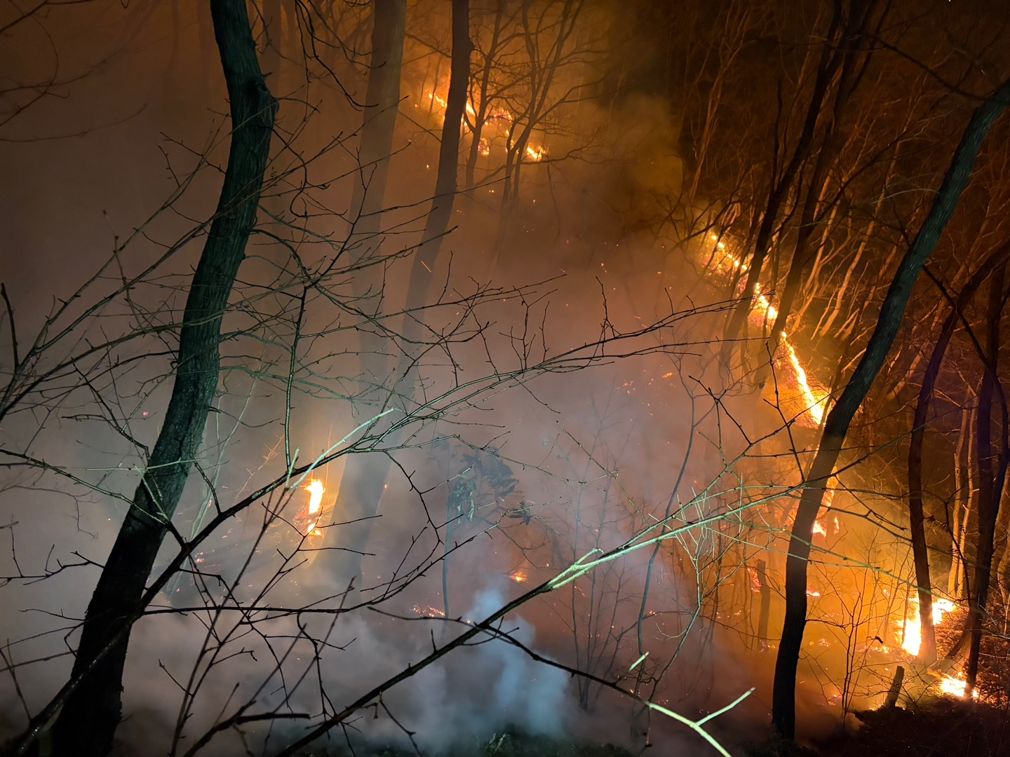 Authorities work to contain a wildfire in Munmu-daewang-myeon, Gyeongju, North Gyeongsang, on Feb. 8, 2026. [GYEONGBUK FIRE SERVICE HEADQUARTERS]