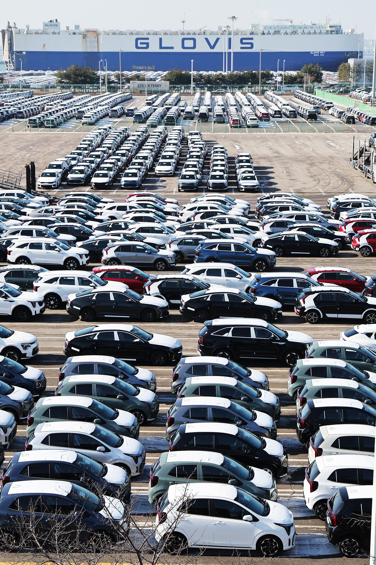 Cars await shipment at the Pyeongtaek Port in Gyeonggi on Jan. 27. [YONHAP]