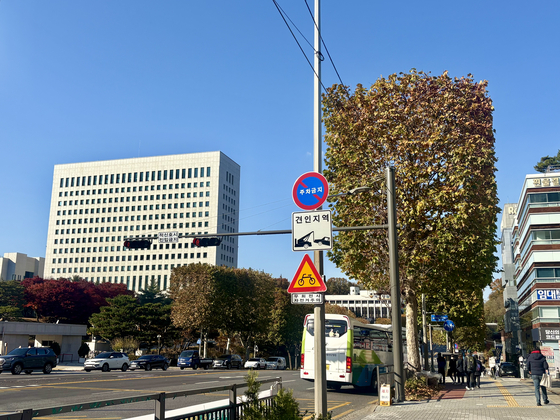 A roadside tree near the Supreme Court in Seocho District, southern Seoul, is pruned into a rectangular shape on Nov. 18. [LEE AH-MI]