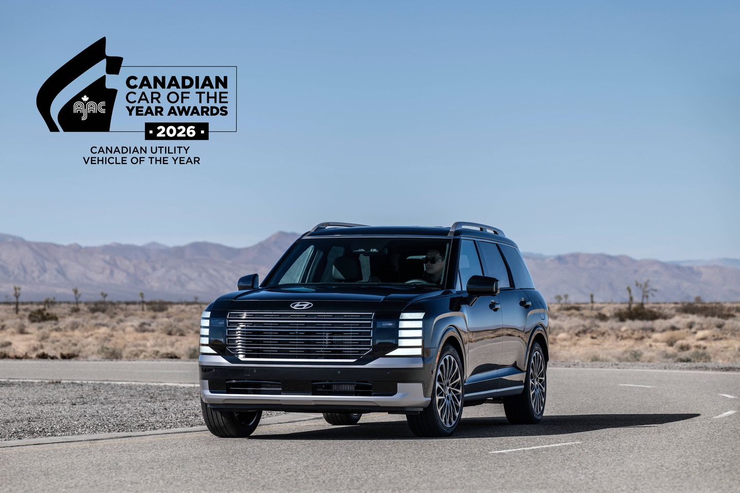 The Hyundai Palisade SUV is parked on a road in this undated file photo provided by Hyundai Motor.  [YONHAP]