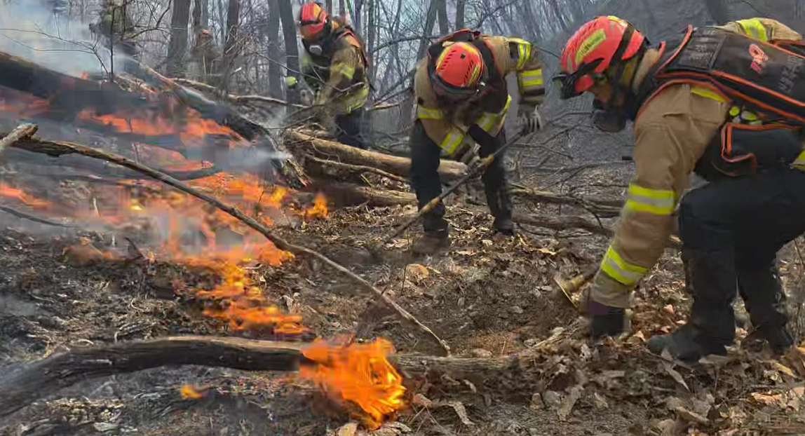 Firefighters work to contain a wildfire in Gyeongju, North Gyeongsang, on Feb. 8. [GYEONGBUK FIRE SERVICE HEADQUARTERS] 