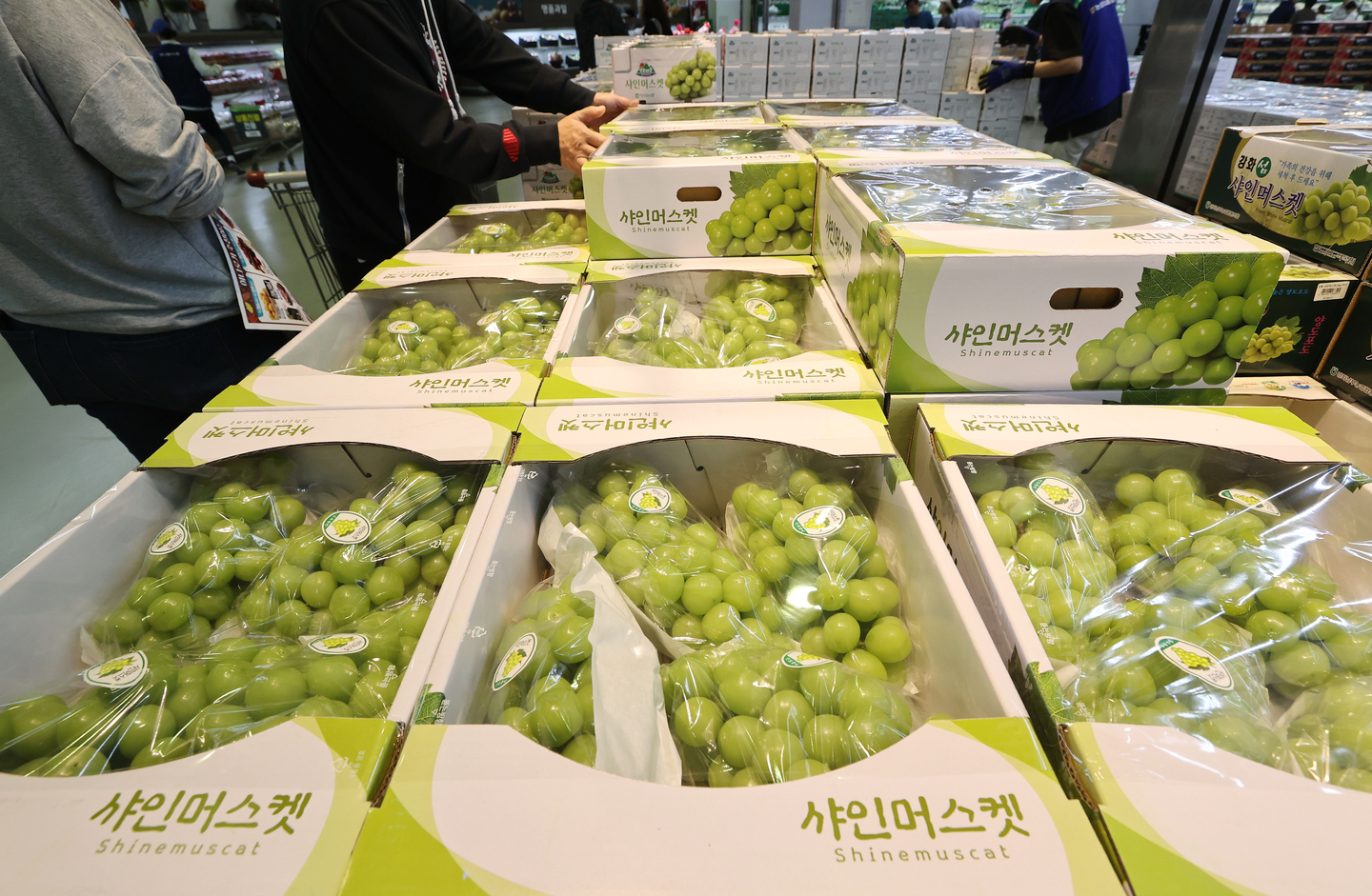 Shine Muscat grapes are on display at a large supermarket in Seoul on Oct. 6, 2024. [YONHAP]